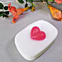 صابون روغن نارگیل سرینا