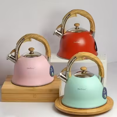 کتری استیل تک رنگ