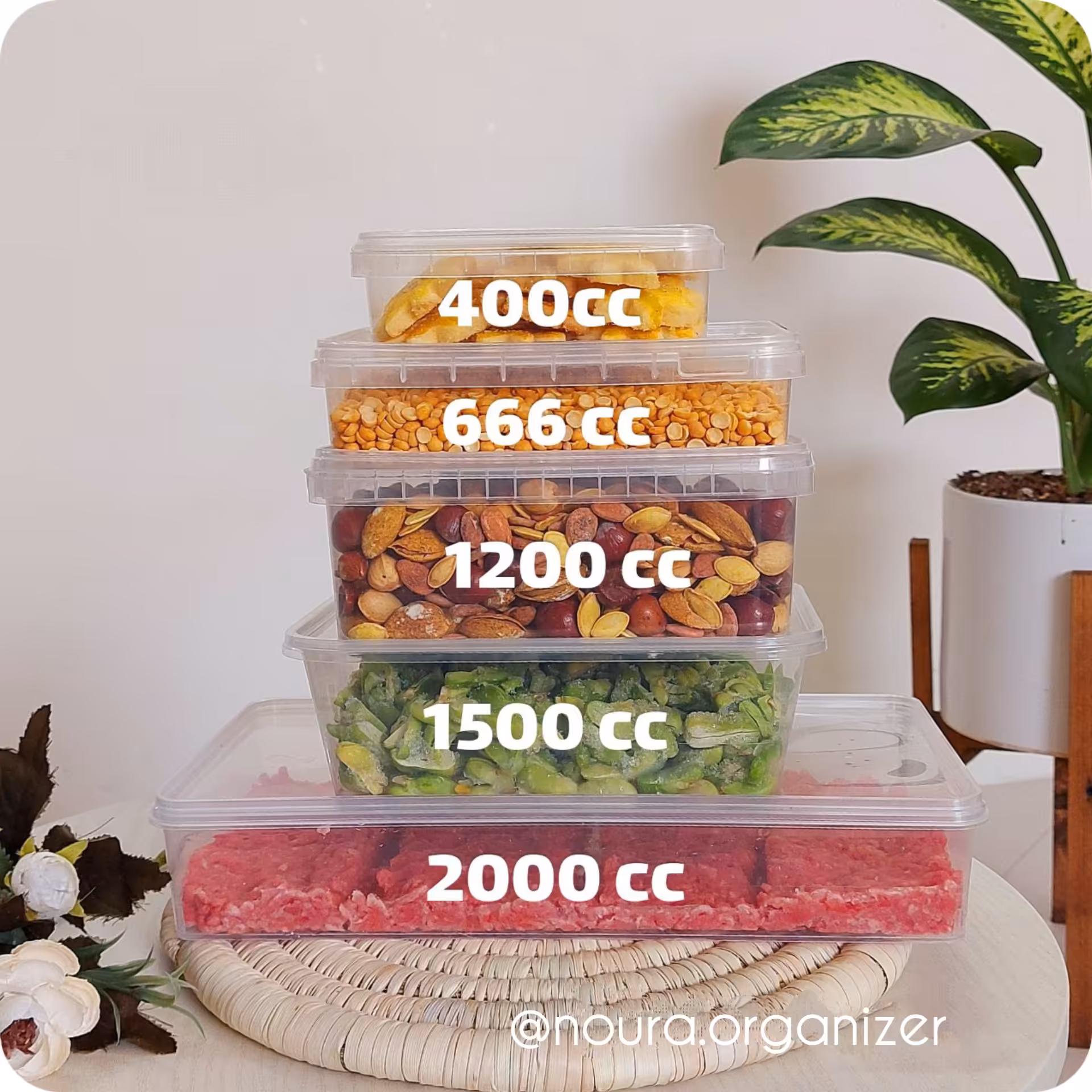 نظم دهنده فریزری پک 5عددی سایز400سی سی