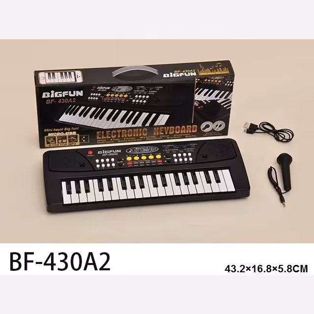 ارگ کوچک مشکی 430