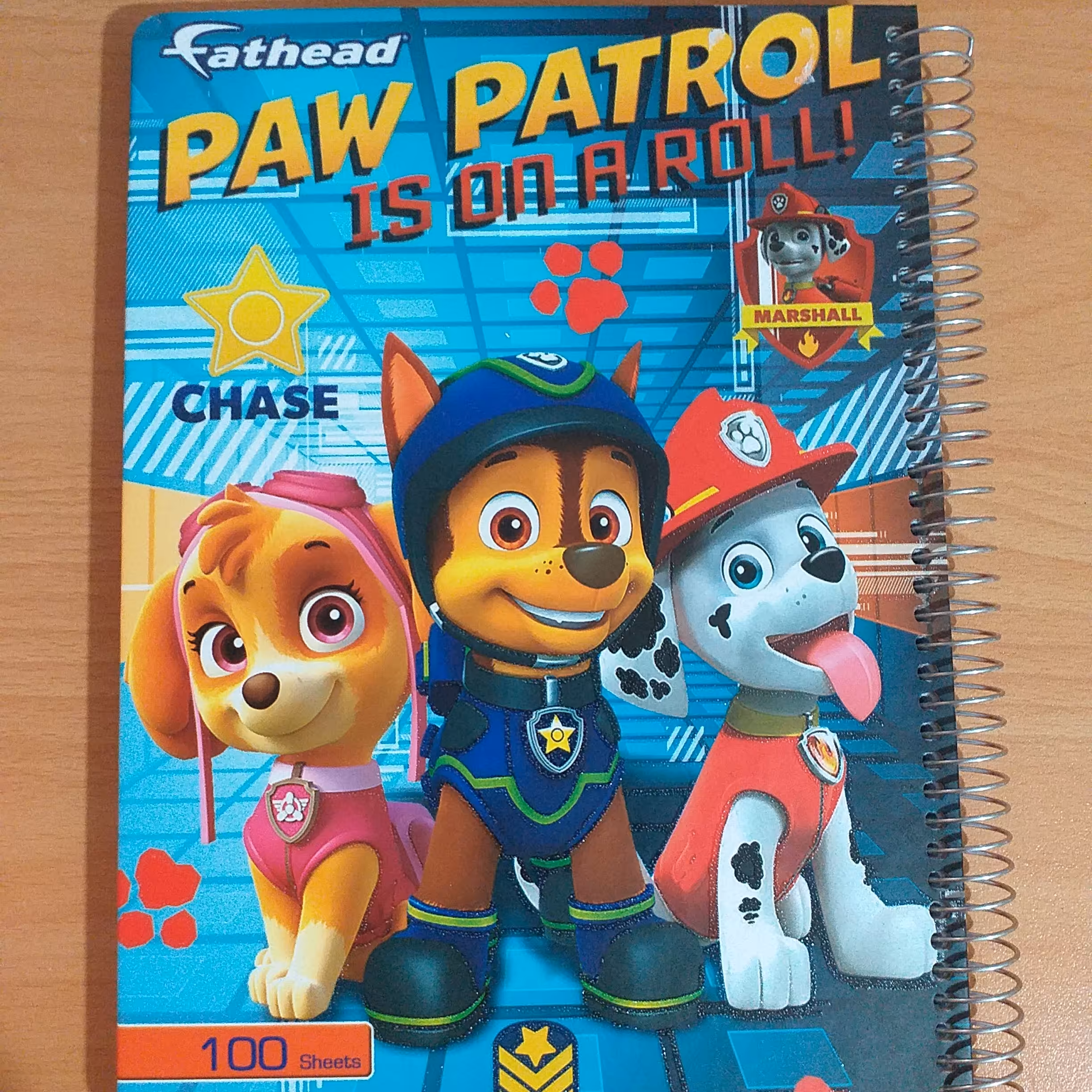 دفتر مشق 100 برگ جلد سخت فانتزی 