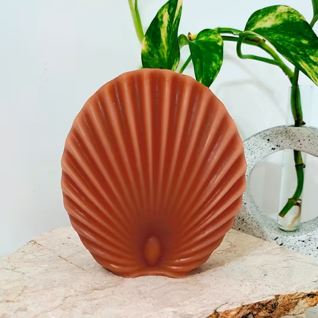 شمع صدف طاووسی