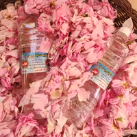 گلاب ارگانیک با بهترین کیفیت بازار 