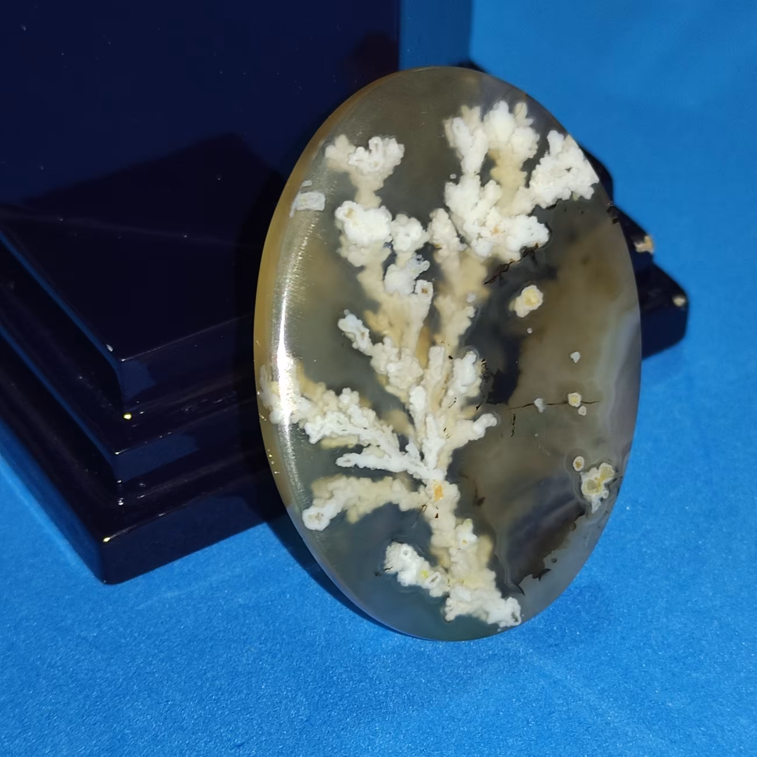 نگین عقیق شجر بهاره با زمینه خرمایی مناسب نگین انگشتر و گردن آویز 