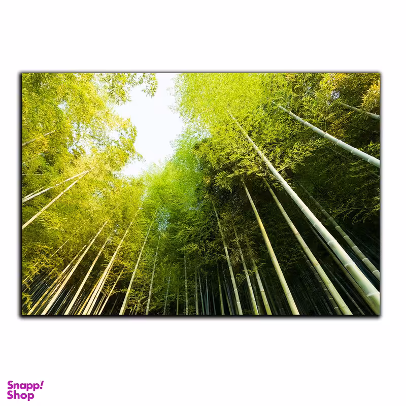 تابلو شاسی بکلیت طرح جنگل و روزنه نور مدل SH-S543