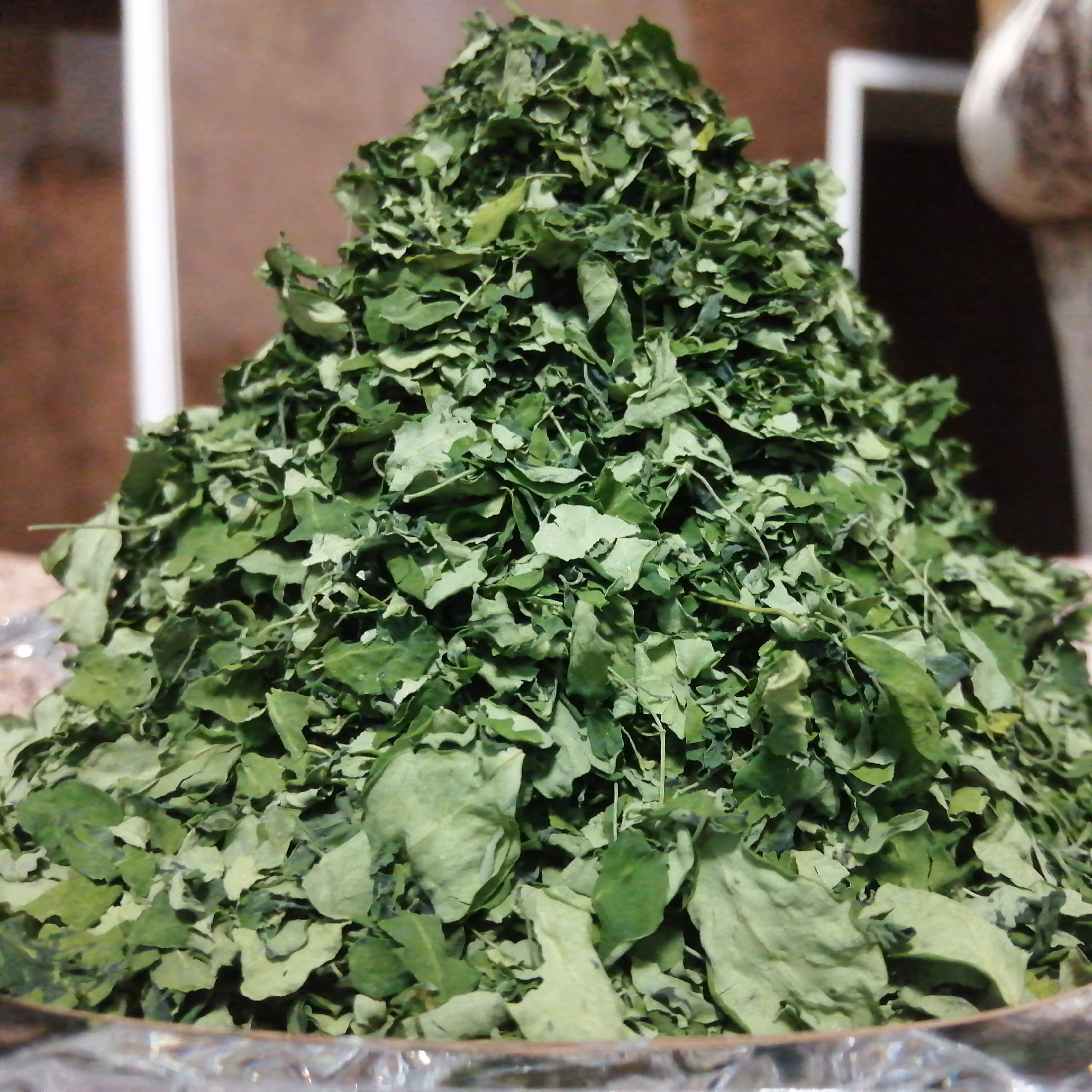 پودر گیاه مورینگا