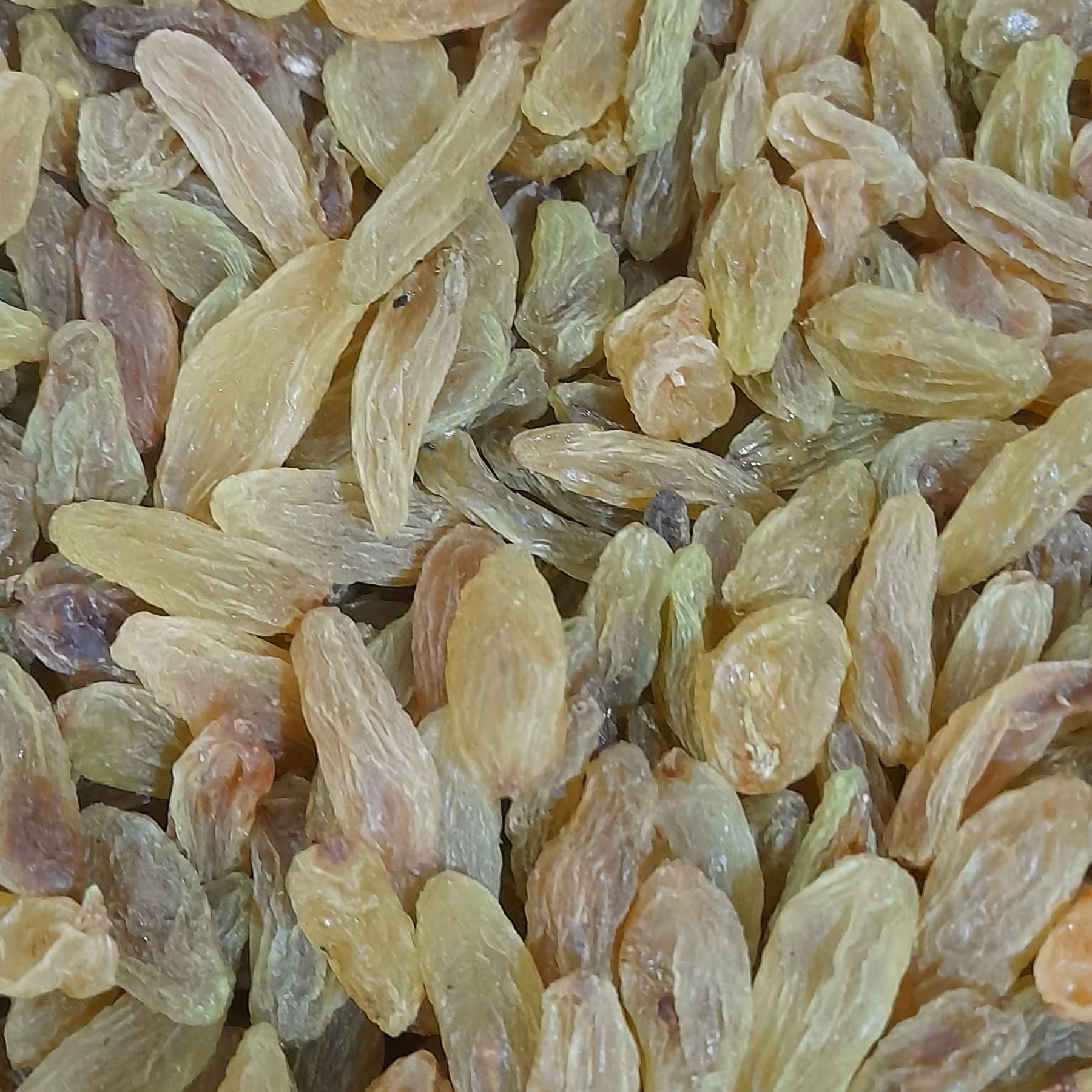 کشمش سبز
