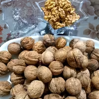 گردو سفید و چرب خراسان شمالی (یک کیلو گرمی)