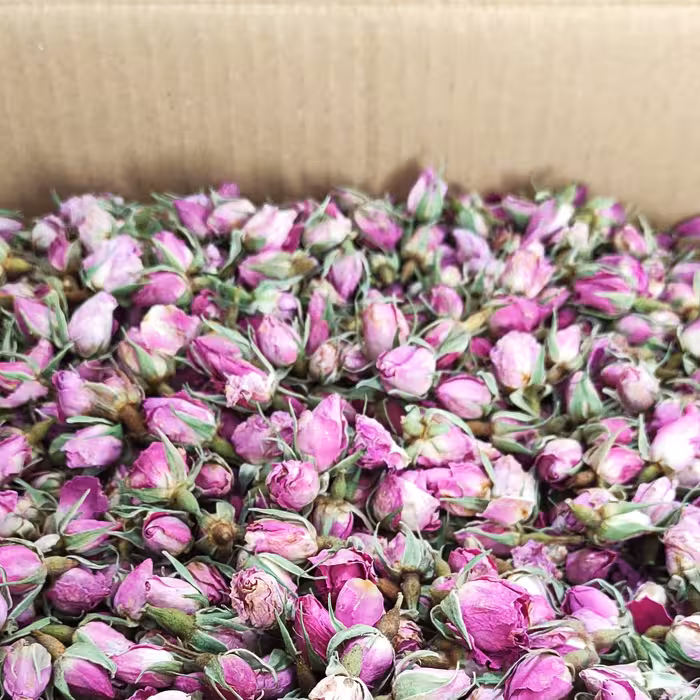 غنچه گل محمدی   کارتن 10 کیلویی 