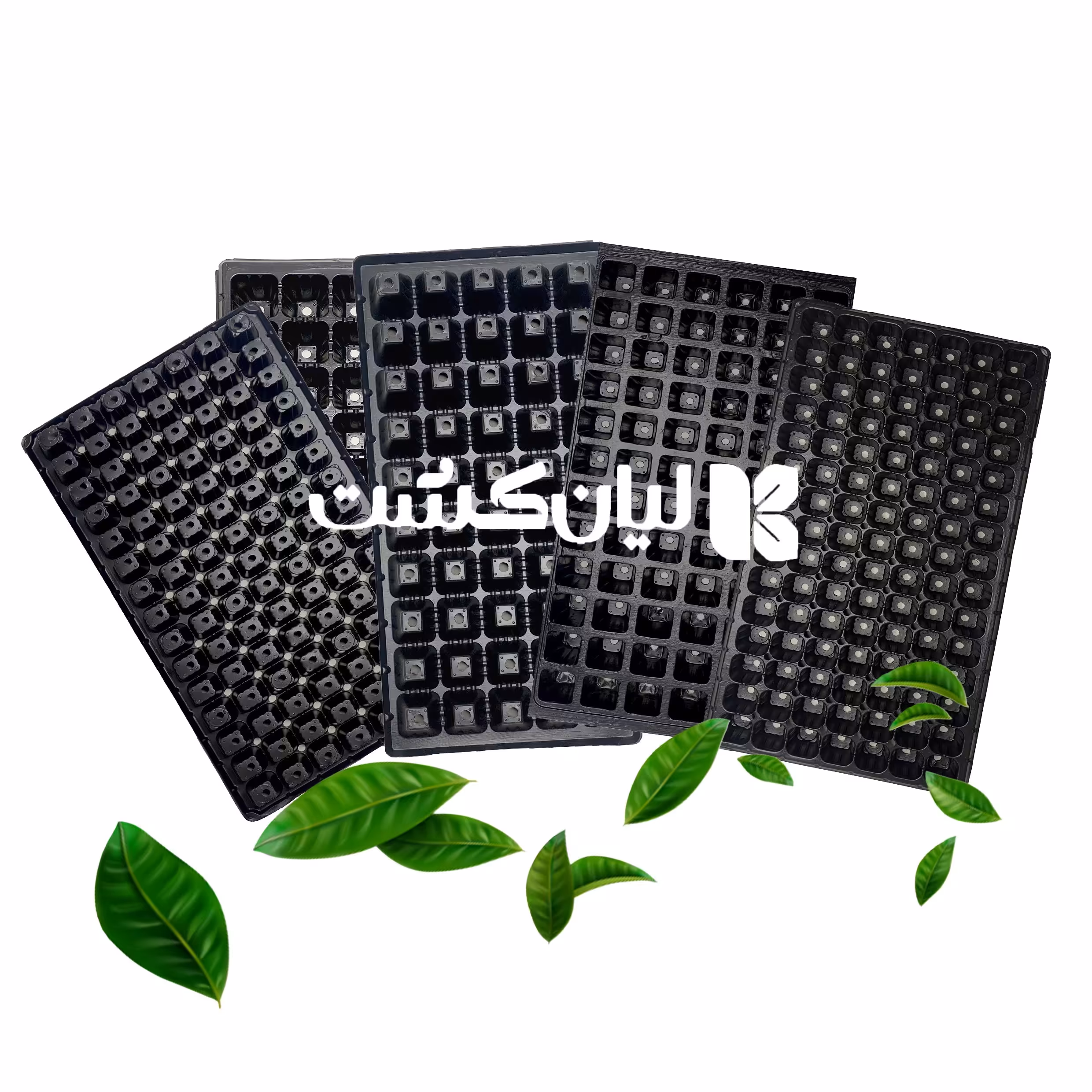 بسته 10 عددی سینی نشا 105 حفره ای