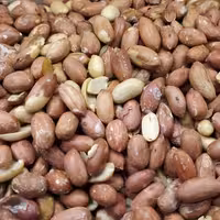 بادام زمینی آستانه (250 گرمی )