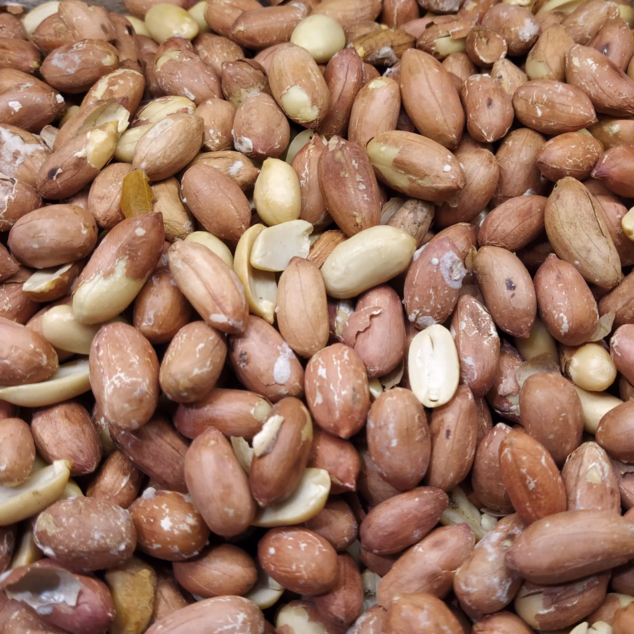 بادام زمینی آستانه (250 گرمی )