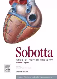 󾕇 دانلود کتاب Sobotta Atlas Of Human Anatomy, Vol. 2 - Internal Organs, 15th ed, 2011 - دانلود کتاب های دانشگاهی