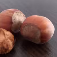 فندق خام منطقه اشکورات رودسر، بسته یک کیلویی تحویل رایگان در یزد محصول 1401