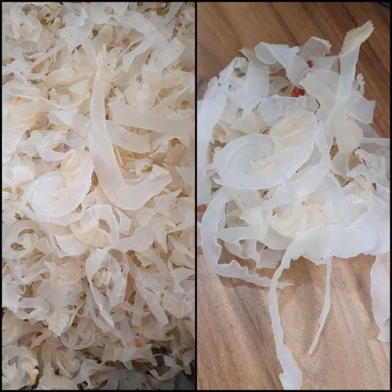 کتیرا صدفی 20 گرم گون سفید .گون پنبه ای