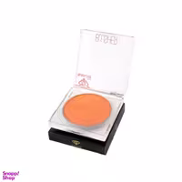 رژگونه سالوته شماره 460