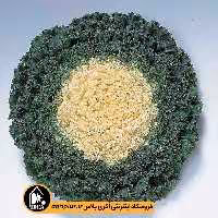 بذر کلم زینتی فر Kamome تاکی