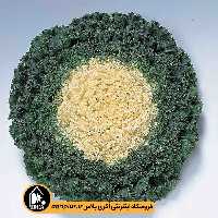 بذر کلم زینتی فر Kamome تاکی