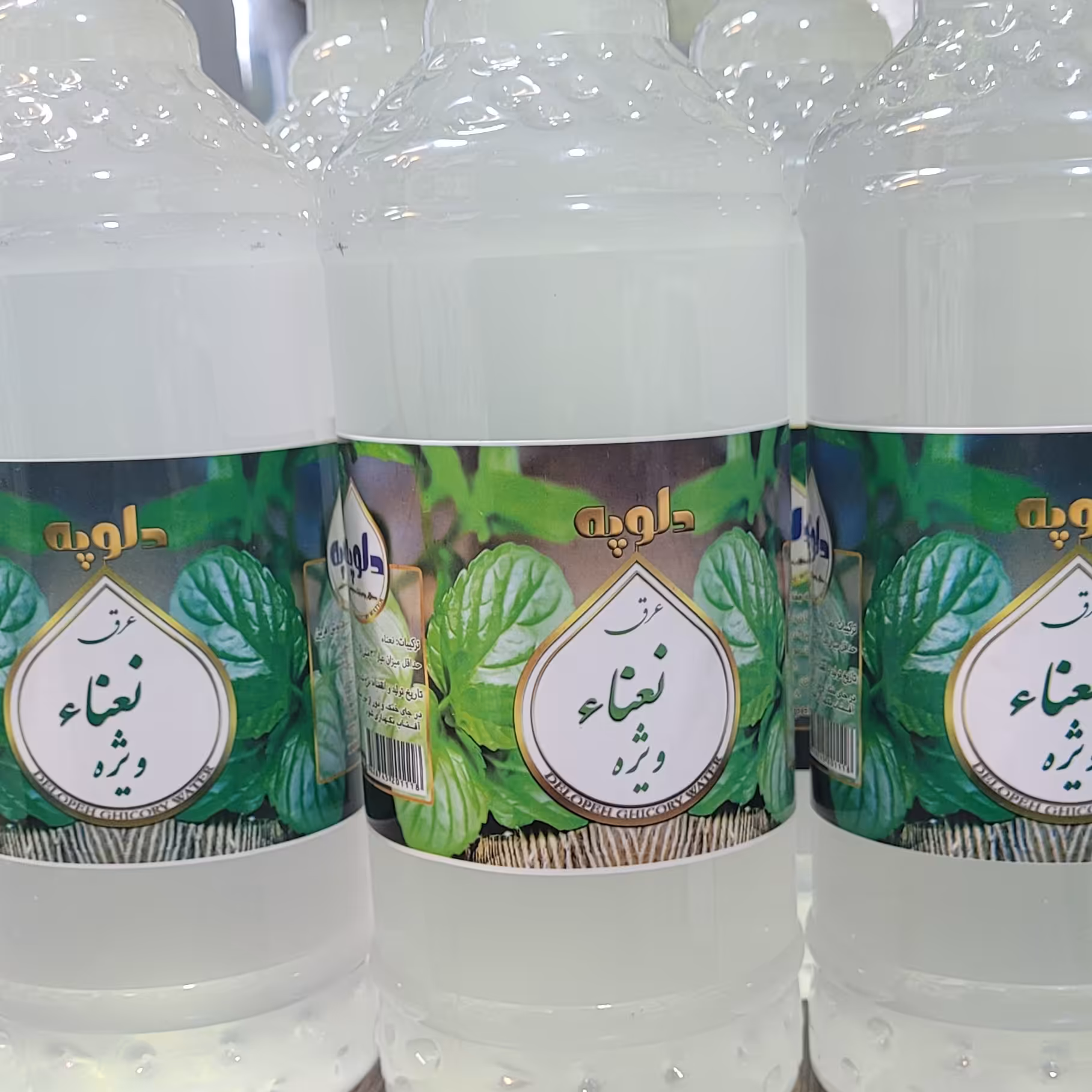 عرق نعنا دو آتشه سنتی یک لیتری بصورت عمده 12 عددی