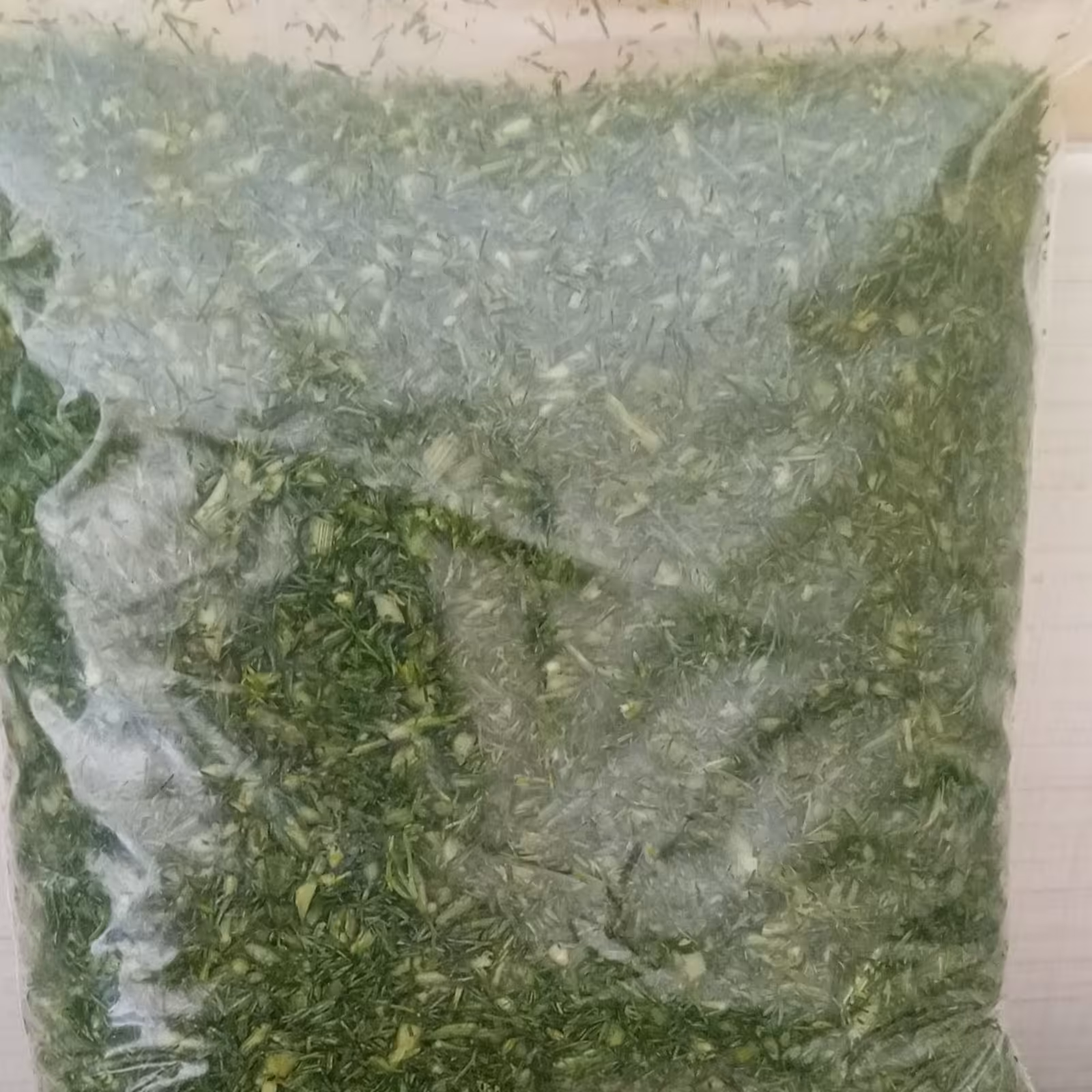 شوید خردشده