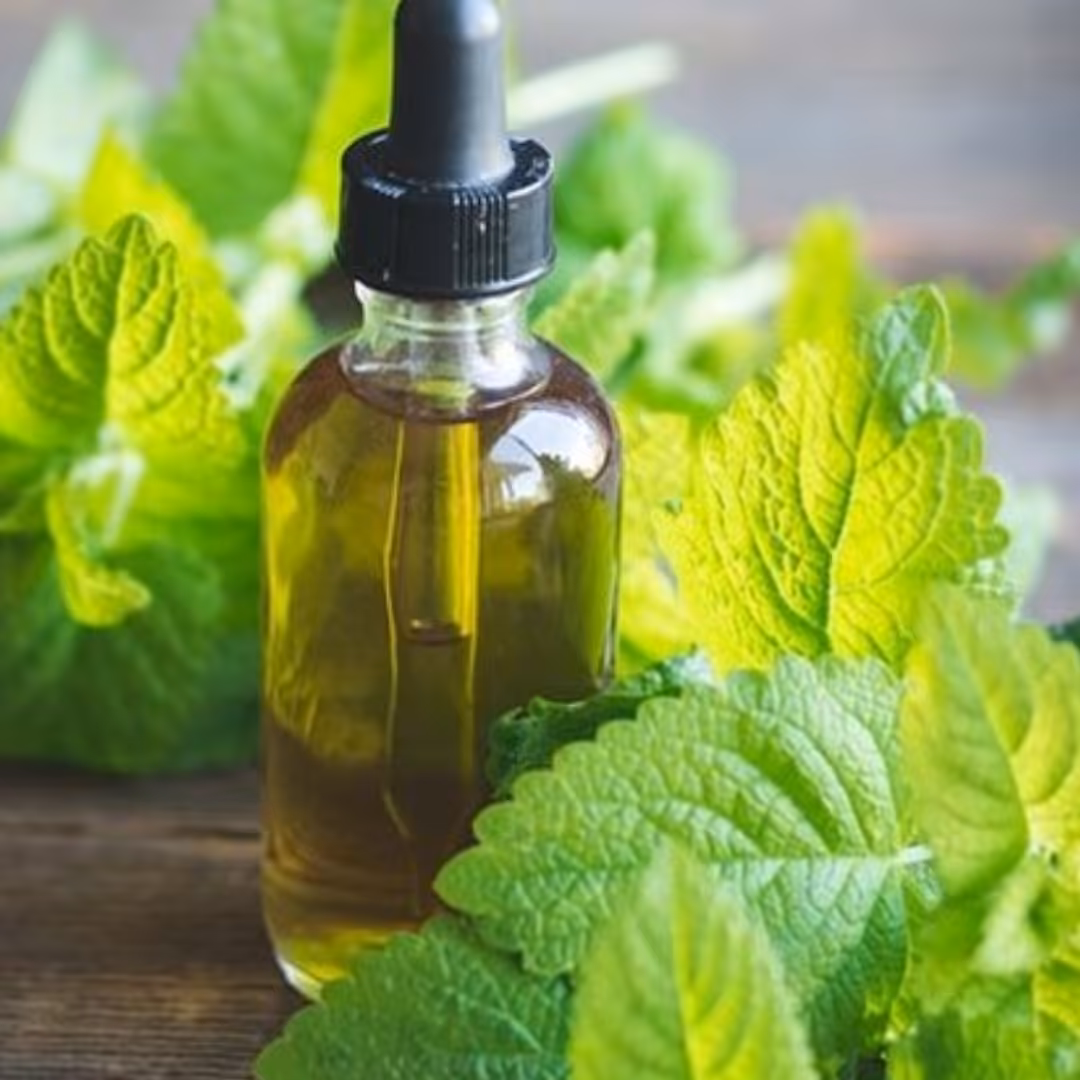 روغن نعناع(18ml)