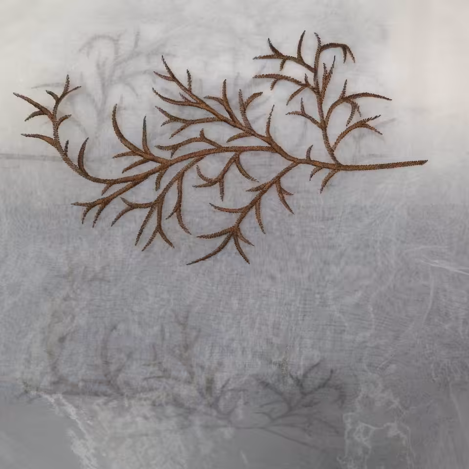 پارچه پرده ای ارگانزا گلدوزی ترک در طرح های متنوع (پس کرایه)