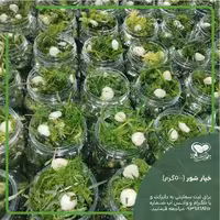 خیارشور  500گرمی