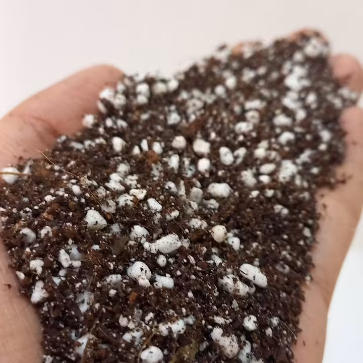 خاک حرفه ای قلمه گیاهان آپارتمانی(کوکوپیت و پرلیت ) (پس کرایه)