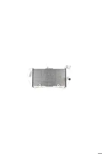 R25 RADIATOR ORIGINAL 1WD E2461 00 Yamaha