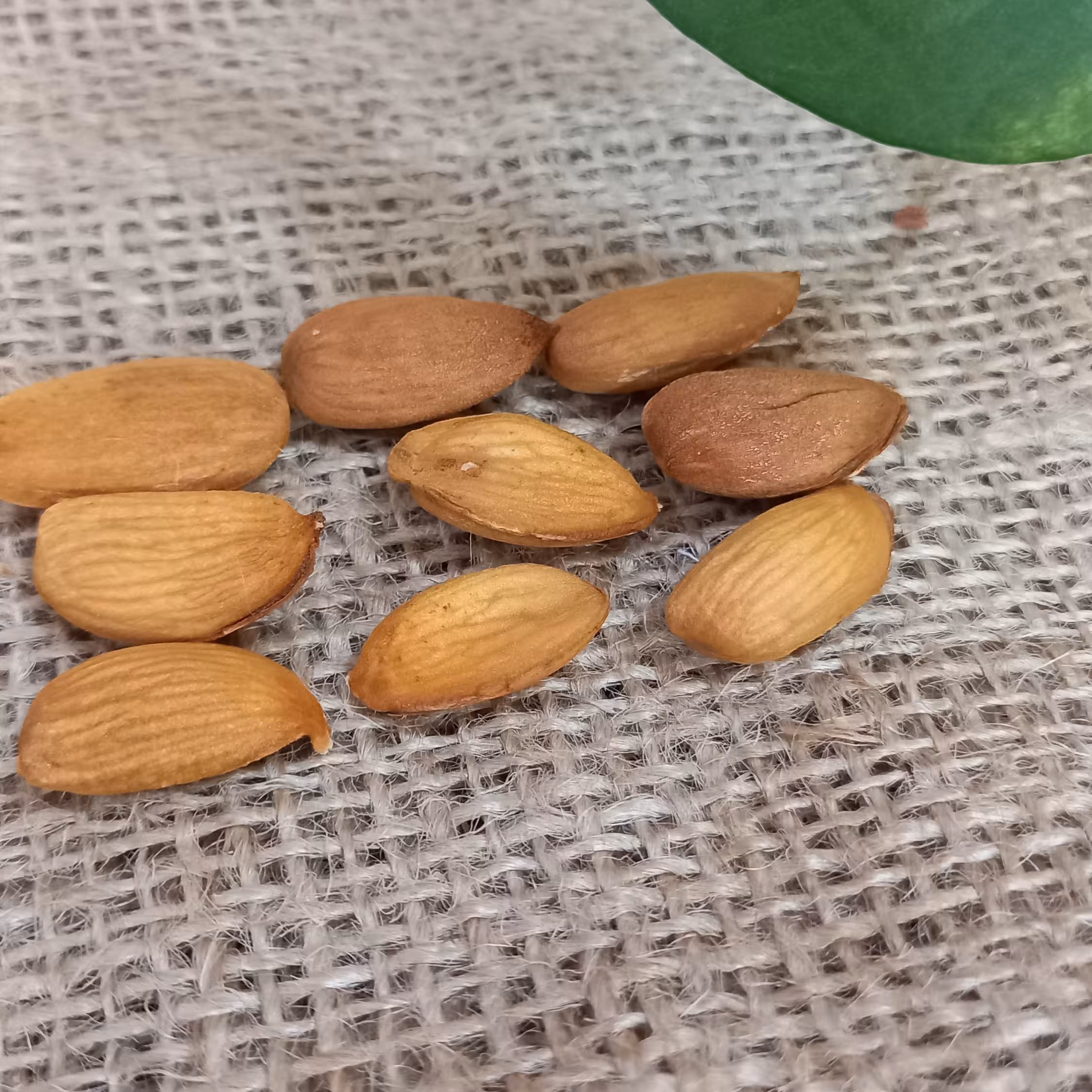 مغز بادام درجه یک(250گرمی)