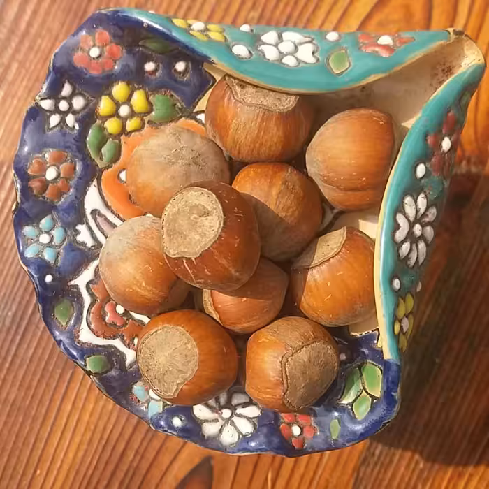 فندق خام  درجه یک  اشکور  گیلان یک کیلویی  پر مغز  و ریز جدا شده  برای منطقه کوهستانی اشکورات 