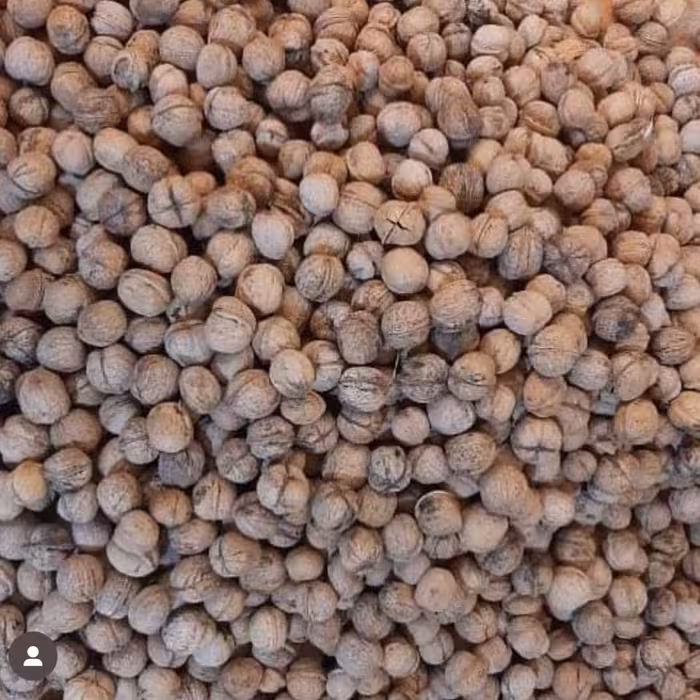 گردوی چرب ورکانه 2 کیلویی 