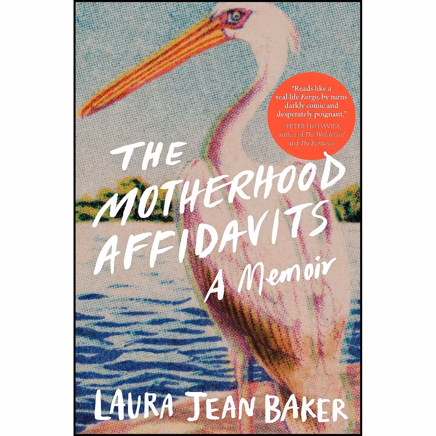 کتاب زبان اصلی The Motherhood Affidavits اثر Laura Jean Baker