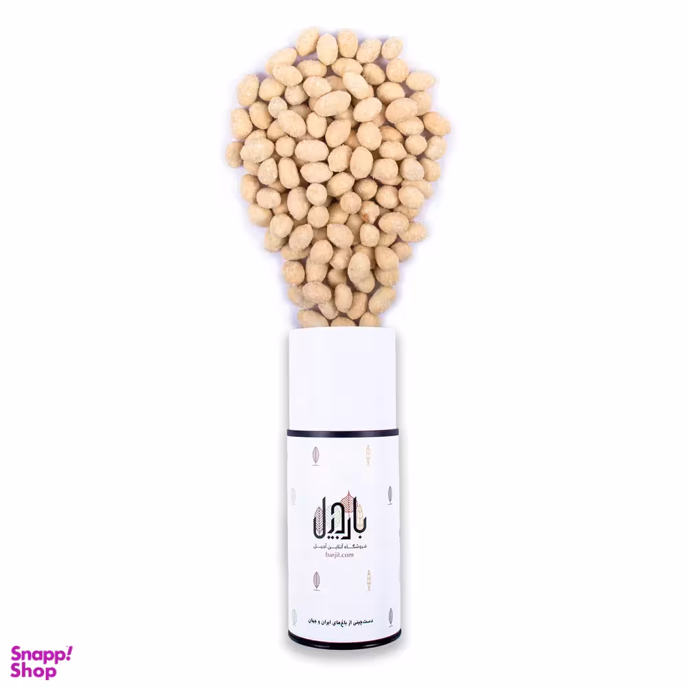 مغز بادام زمینی روکش دار سرکه‌ نمکی بارجیل
