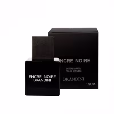 عطر جیبی مردانه برندینی مدل Encre Noir حجم 33 میلی لیتر