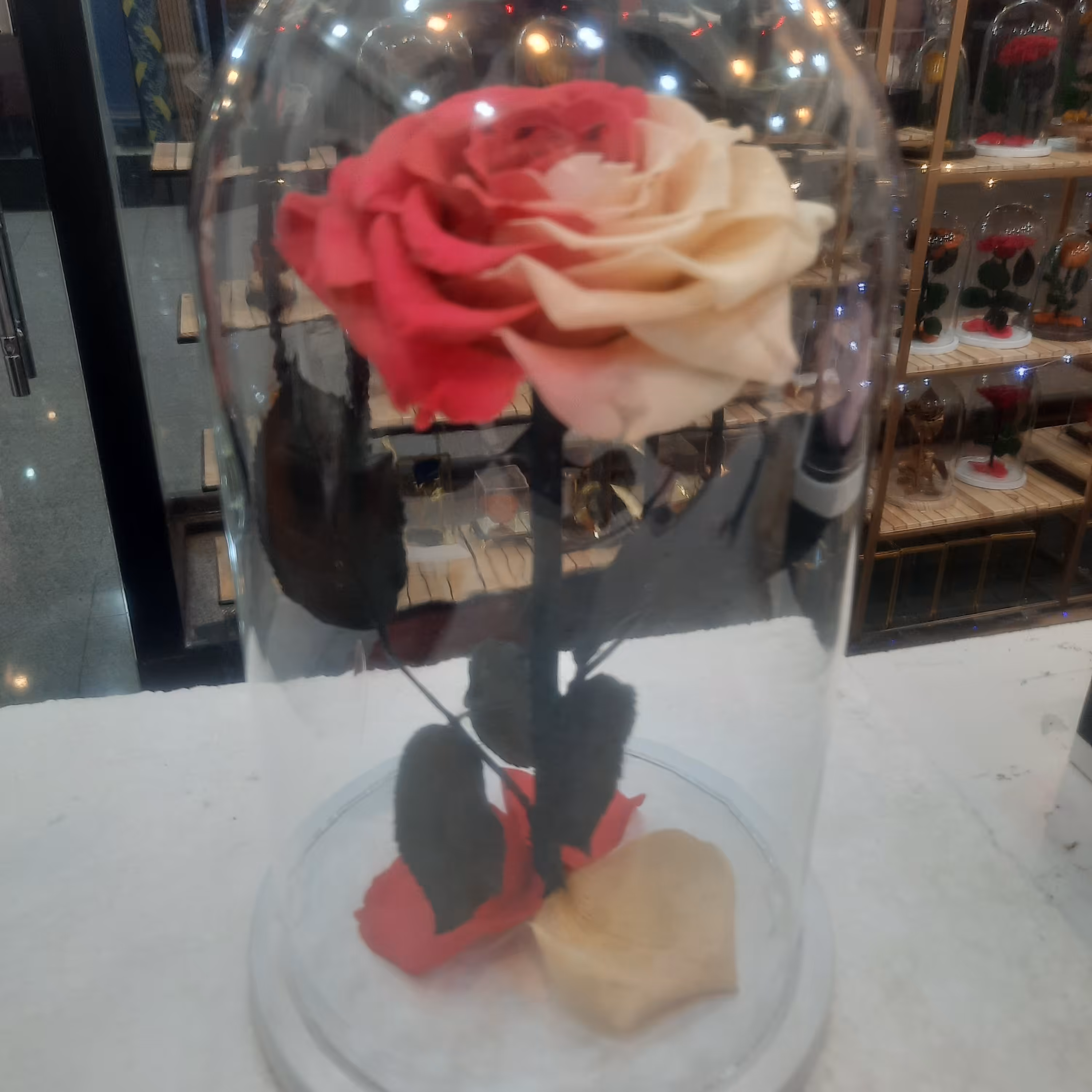 رزجاودان  مدل دیو و دلبر 