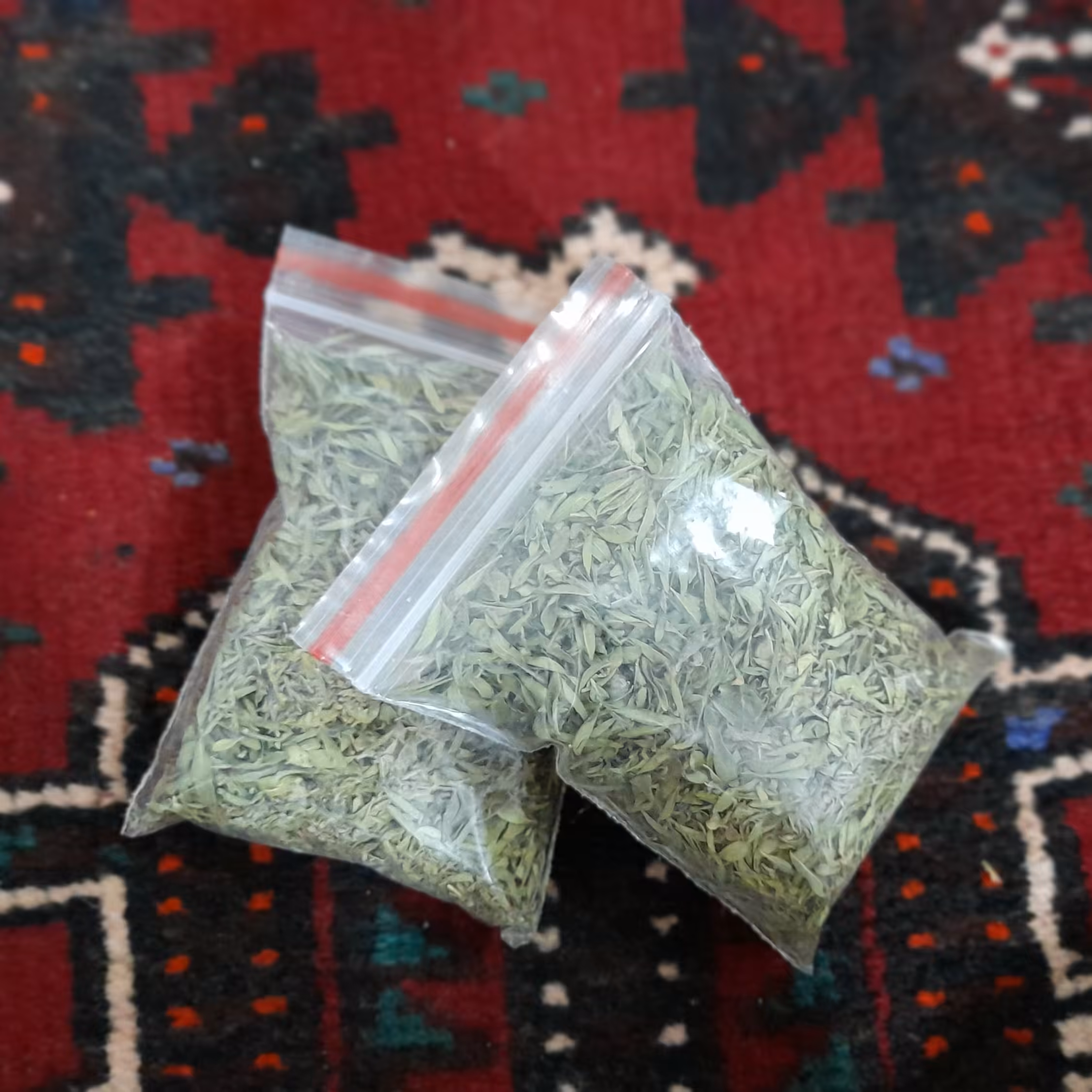 کاکوتی (آنُخ خراسان)