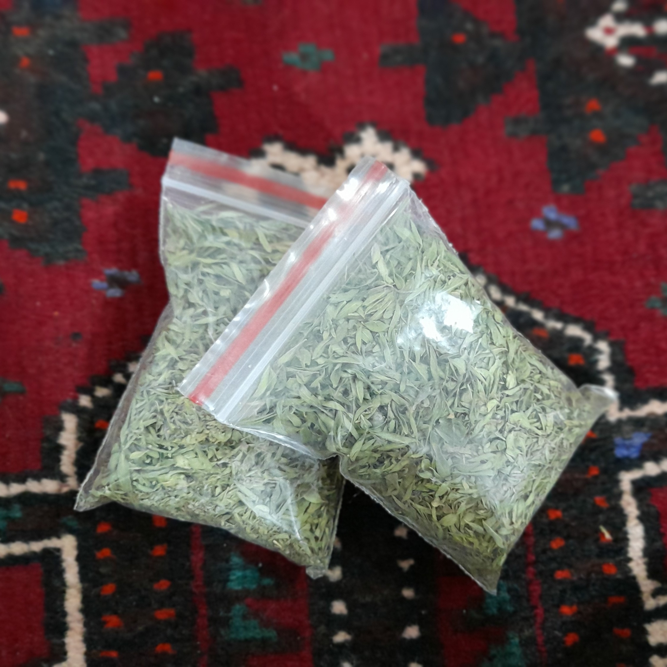 کاکوتی (آنُخ خراسان)