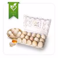 تخم مرغ محلی واقعی 15 عددی
