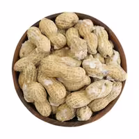 بادام زمینی غلافدار نمکی تازه و درشت ارسال رایگان 