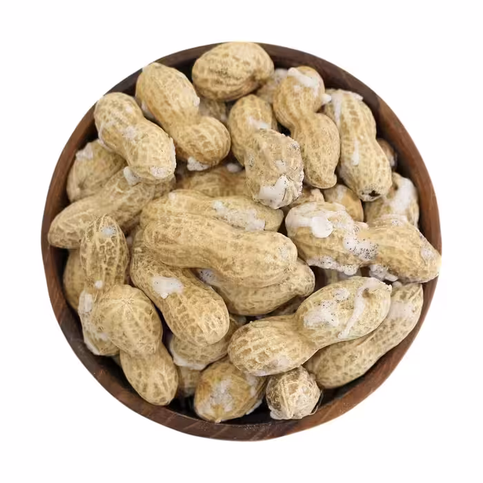 بادام زمینی غلافدار نمکی تازه و درشت ارسال رایگان 