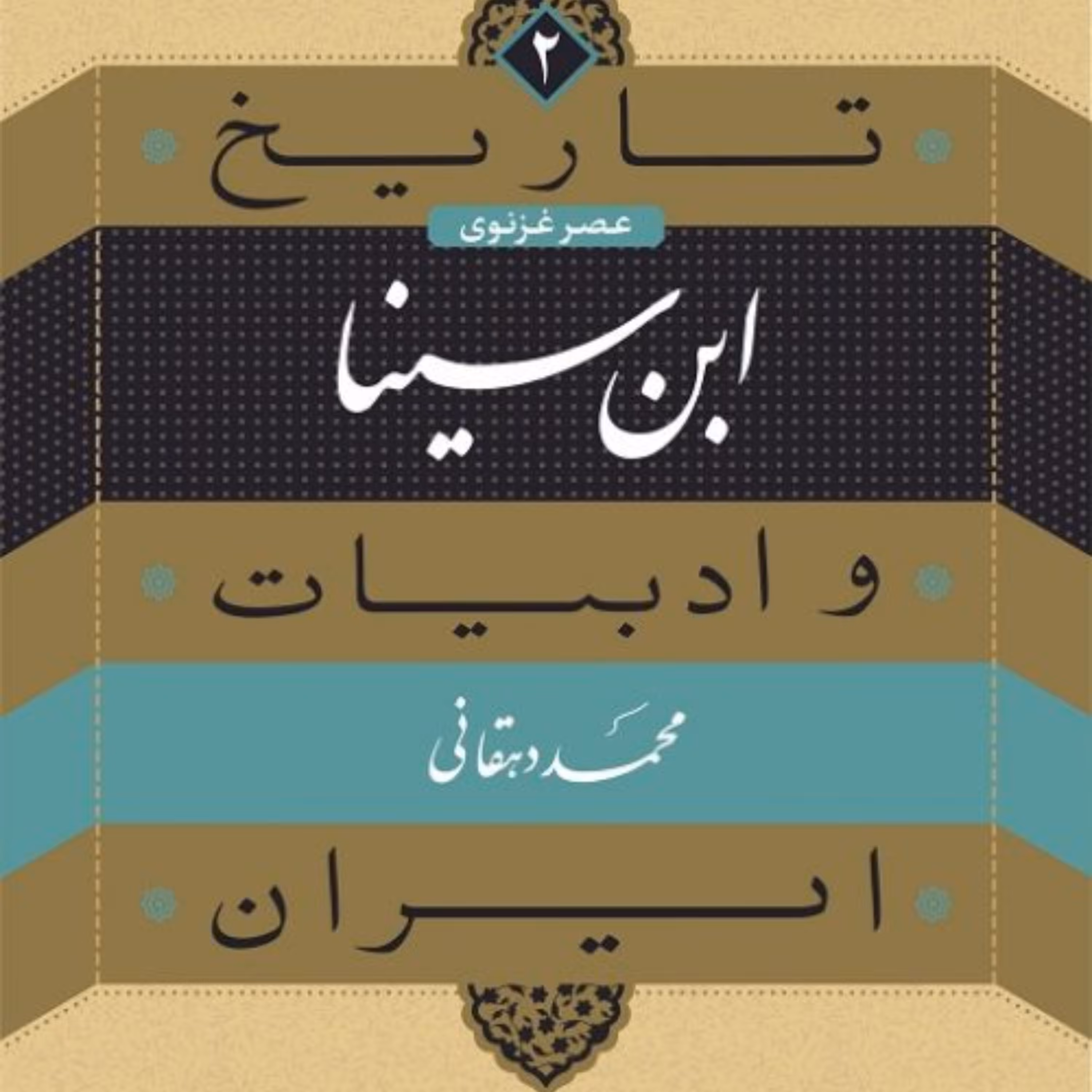ابن سینا تاریخ و ادبیات ایران عصر غزنوی جلد 2 نشر نی