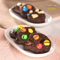 دیس بیضی 15 هما