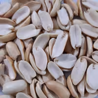 بادام زمینی بدون پوست ممتاز(محصول 1403) 1000 گرم 