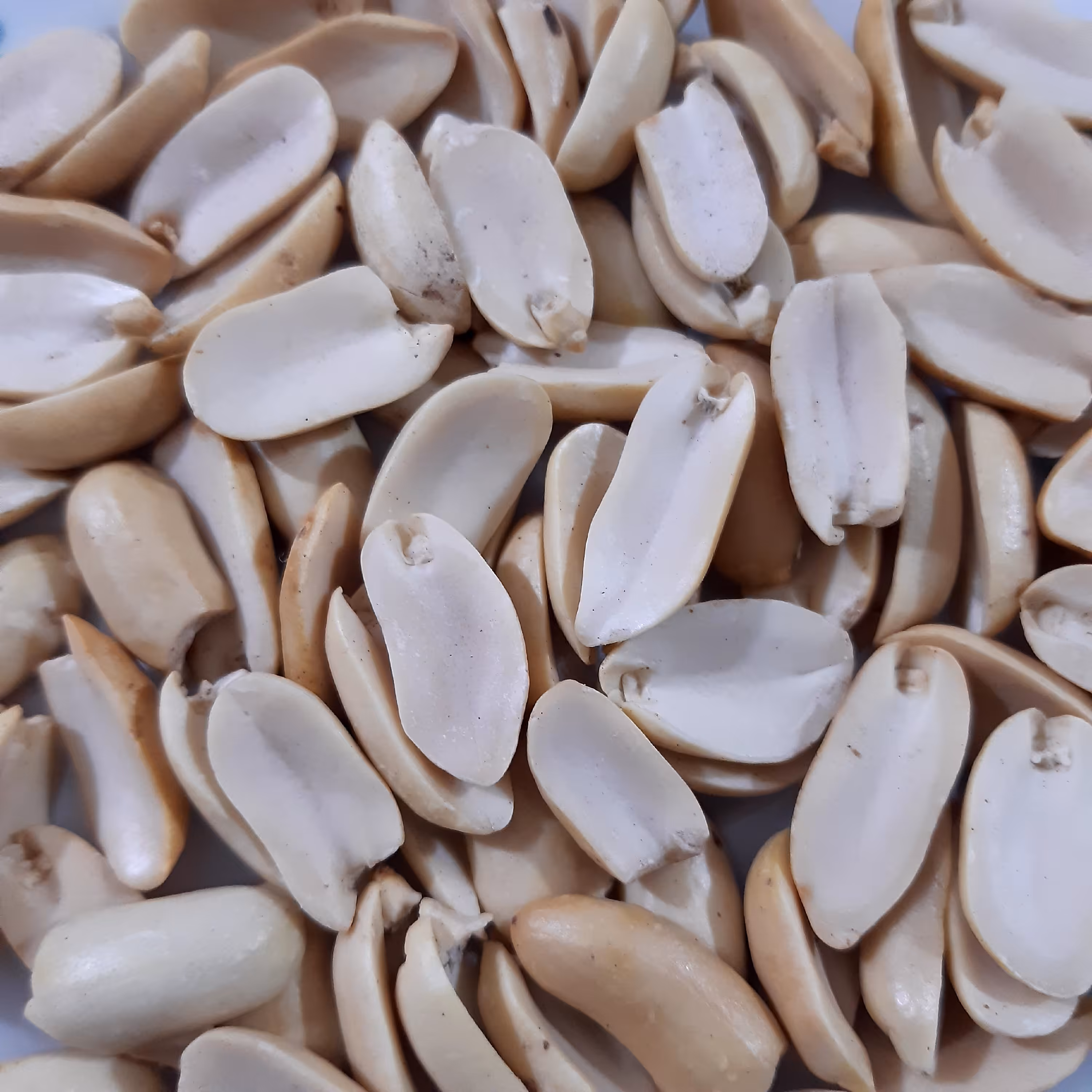 بادام زمینی بدون پوست ممتاز(محصول 1403) 1000 گرم 