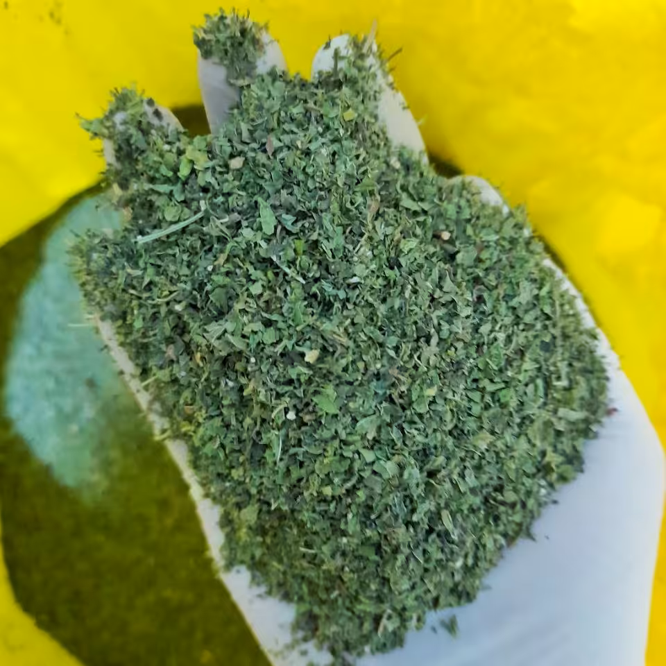 سبزی نعنا خشک 100 گرمی باکیفیت و بسیار تمیز