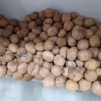 گردو پوست کاغذی درشت با مغز قهوه ای روشن 250گرمی