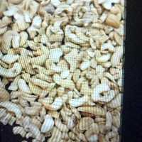 بادام هندی شکسته خام تازه -1000گرمی