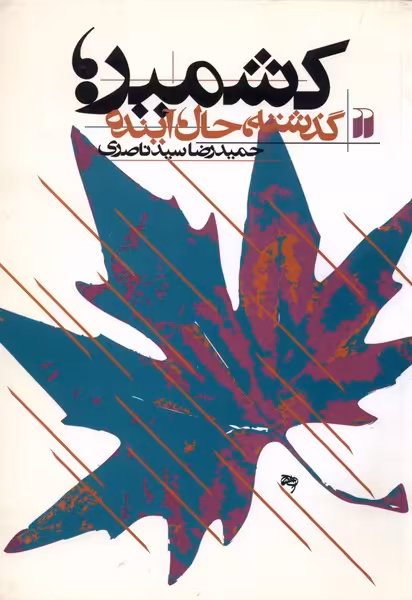 کتاب کشمیر اثر حمیدرضا سیدناصری