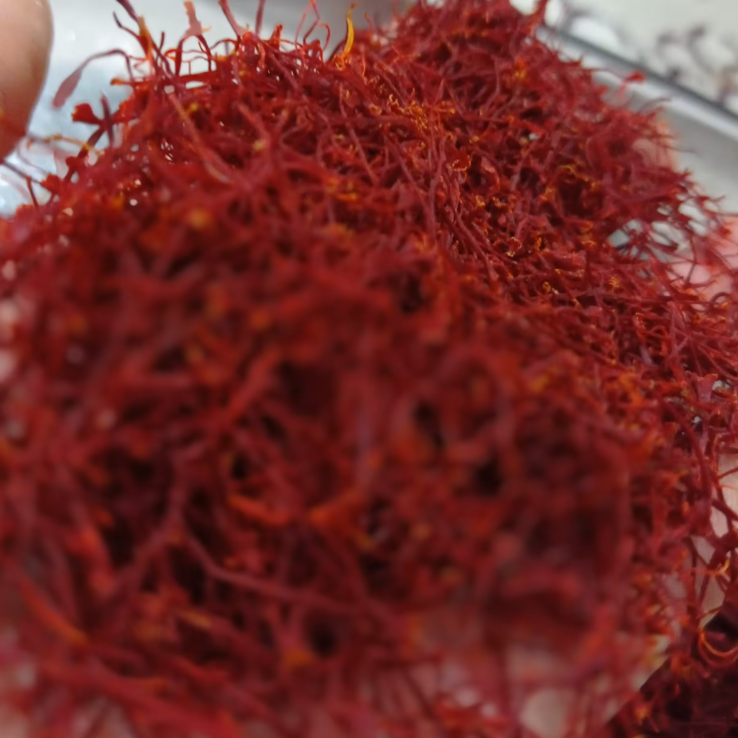 زعفران نگین امسالی 3 مثقال 2گرم هدیه زعفرانیه